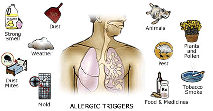 Side effects of taking steroids for asthma